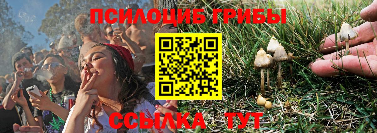 Мичуринск  Псилоцибиновые грибы GOLDEN TEACHER  Вход с VPN 