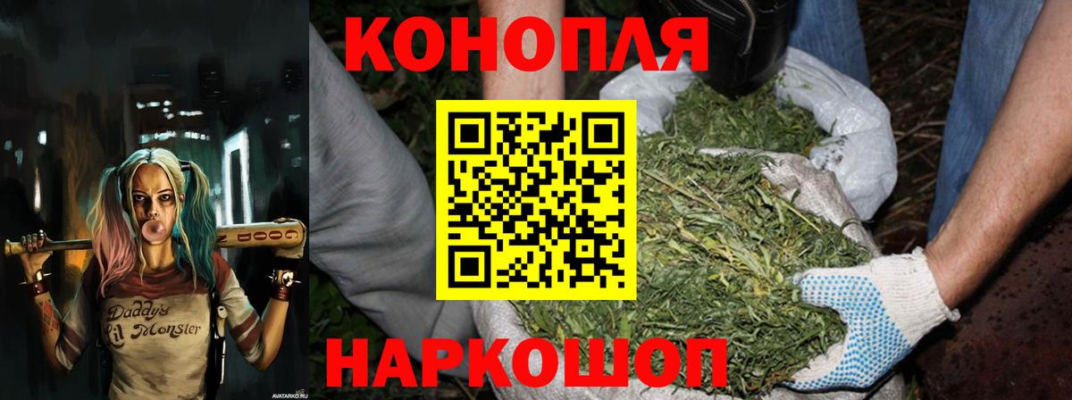 Конопля Amnesia  Каннабис AK-47  Каннабис план  Бошки Шишки тримм  Вход с VPN  Мичуринск 